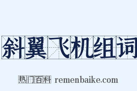 斜翼飞机组词是什么意思的图片